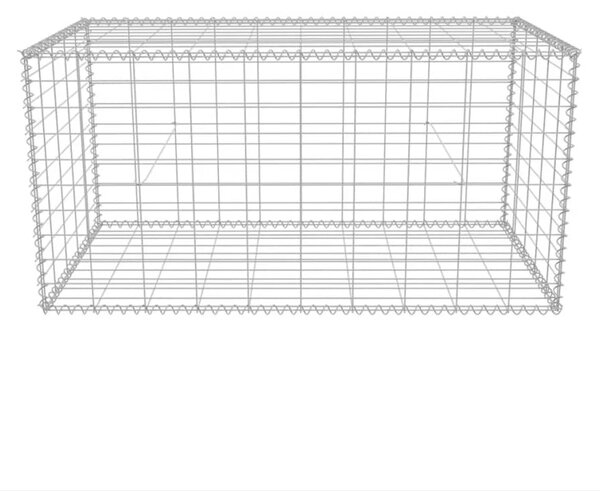 VidaXL Συρματοκιβώτιο 100 x 50 x 50 εκ. από Γαλβανισμένο Χάλυβα