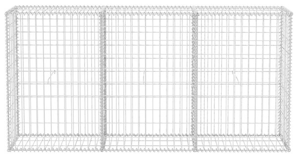 VidaXL Συρματοκιβώτιο 200 x 30 x 100 εκ. από Γαλβανισμένο Χάλυβα