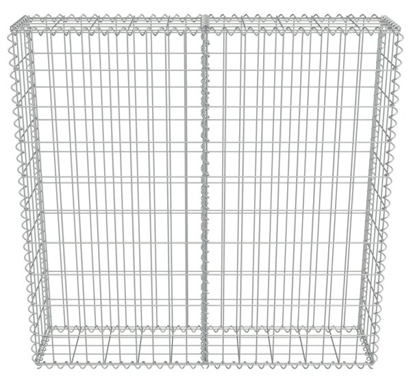 VidaXL Συρματοκιβώτιο Τοίχος 100x20x100 εκ. Γαλβαν.Χάλυβας + Καλύμματα