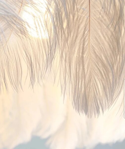 Φωτιστικό οροφής Boho APP662 Gold