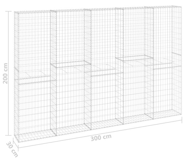 VidaXL Συρματοκιβώτιο Τοίχος 300x30x200 εκ. Γαλβαν.Χάλυβας + Καλύμματα