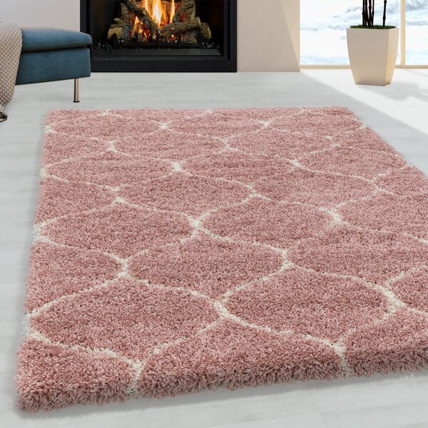 Χαλί Salsa Rose 240x340 cm
