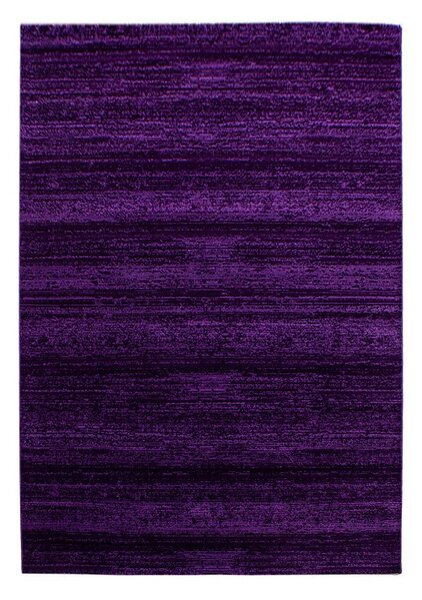 Χαλί Plus Λιλά V1 240 x 340 cm