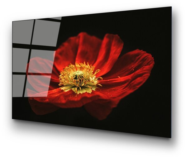 Πίνακας από σκληρυμένο γυαλί UV Πολύχρωμος 70x100 cm