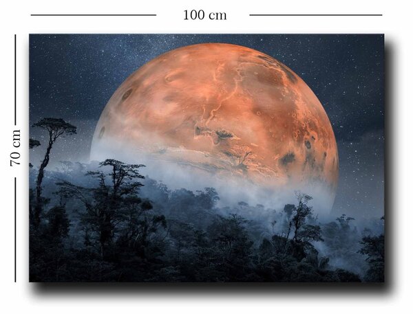 Πίνακας 70100NISC Πορτοκαλί 70x100 cm