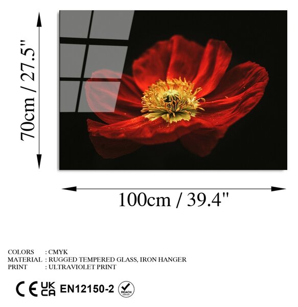 Πίνακας από σκληρυμένο γυαλί UV Πολύχρωμος 70x100 cm
