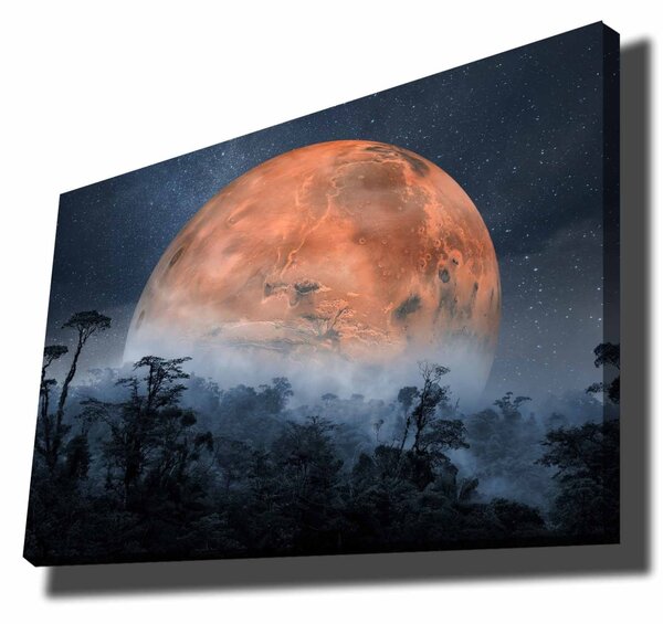 Πίνακας 70100NISC Πορτοκαλί 70x100 cm
