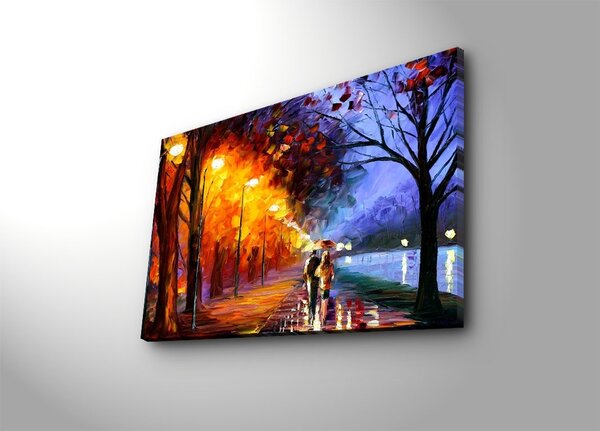 Πίνακας 5070C Πολύχρωμο 45x70 cm