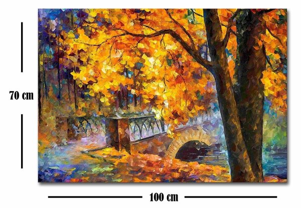Πίνακας Rainbow Canvas Πολύχρωμος 70x100x3 cm