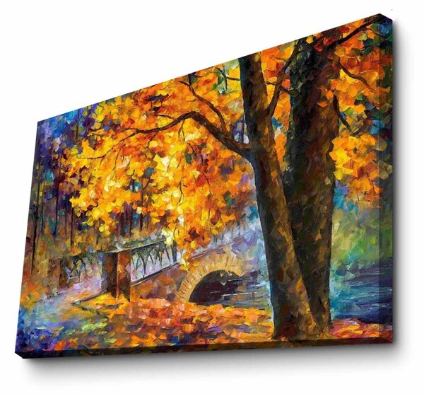 Πίνακας Rainbow Canvas Πολύχρωμος 70x100x3 cm