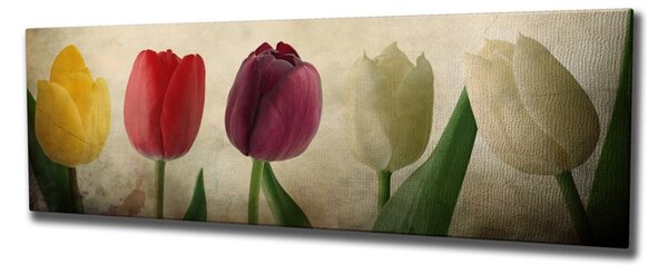 Πίνακας PC147 Πολύχρωμος 30x80x3 cm