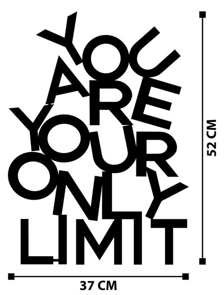 Μεταλλικός πίνακας Limit Μαύρο 37x52 cm
