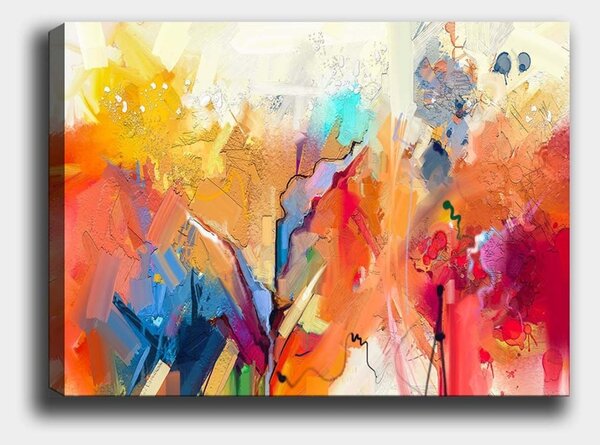 Πίνακας 1040210842 Πολύχρωμο 70x100 cm