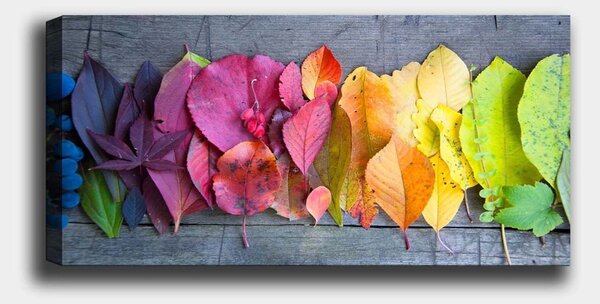 Πίνακας Bella Mira Πολύχρωμο 50x120 cm
