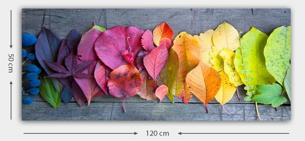 Πίνακας Bella Mira Πολύχρωμο 50x120 cm