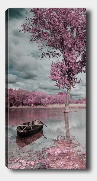 Πίνακας ColorCanvas Πολύχρωμο 50x120 cm