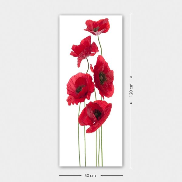 Πίνακας DKY128322 Πολύχρωμος 50x120 cm