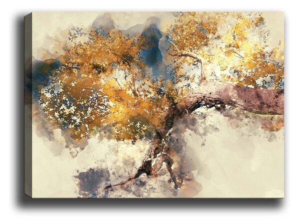 Πίνακας καμβά Πολύχρωμος 50x70x3 cm