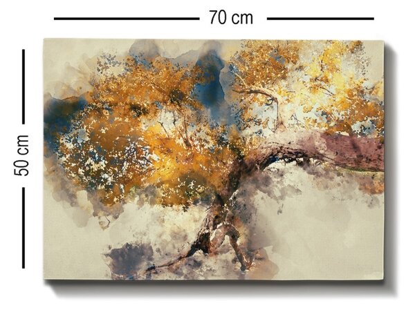 Πίνακας καμβά Πολύχρωμος 50x70x3 cm
