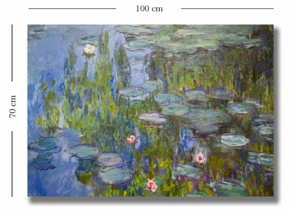 Πίνακας Summerview sundance Πολύχρωμος 70x100 cm