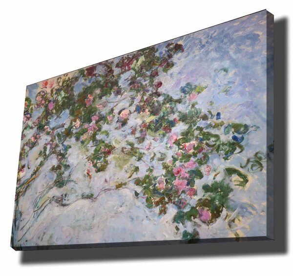 Πίνακας Bornique Metadata Πολύχρωμο 70x100 cm