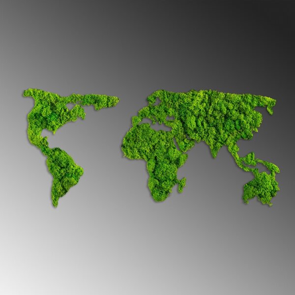 Πίνακας lemn licheni World Πράσινο 70x32 cm