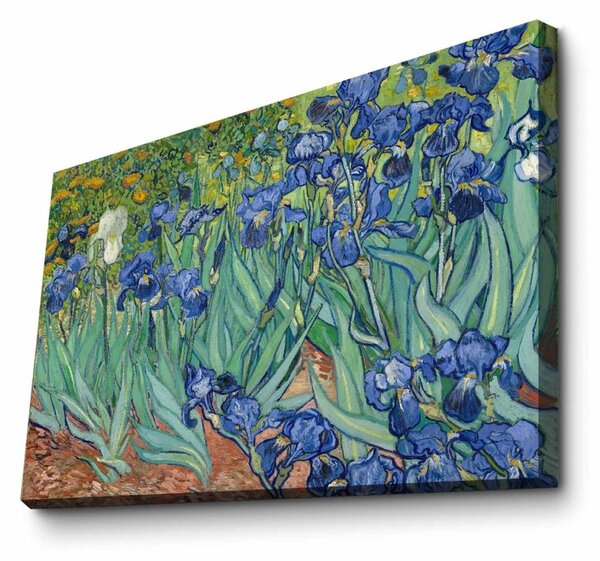 Πίνακας Iridescence Plateau Πολύχρωμος 45x70 cm