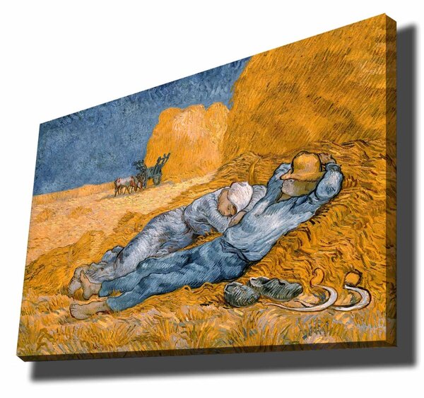 Πίνακας Lucent Chroma Πολύχρωμος 70x100 cm