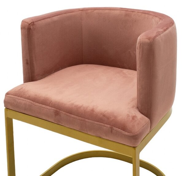Καρέκλα Viv Dry Rose - Gold