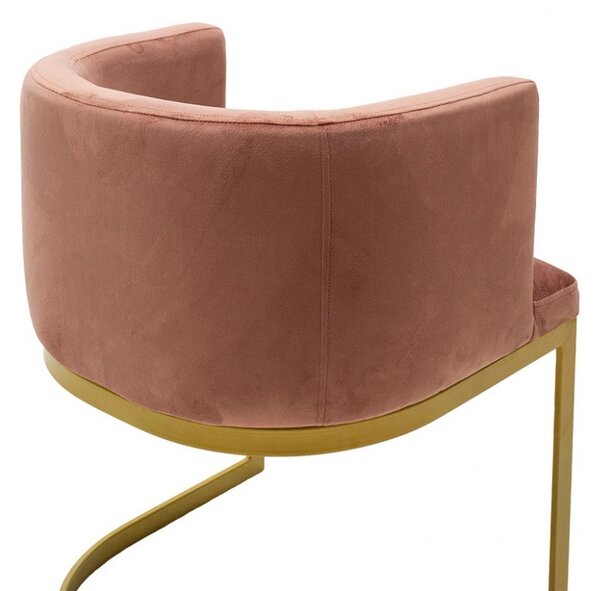 Καρέκλα Viv Dry Rose - Gold