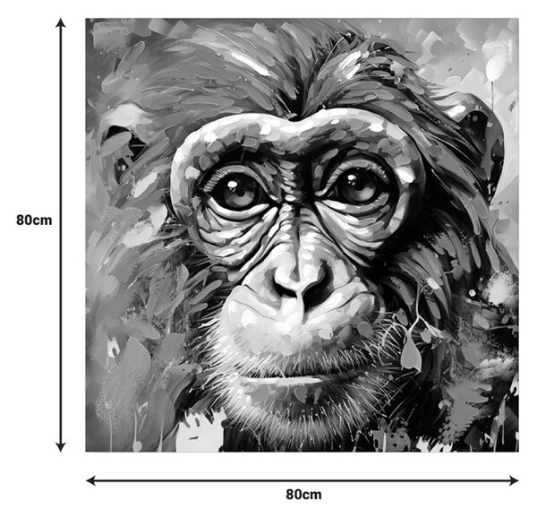 Πίνακας καμβά Μαϊμού Bano 80x3x80 cm