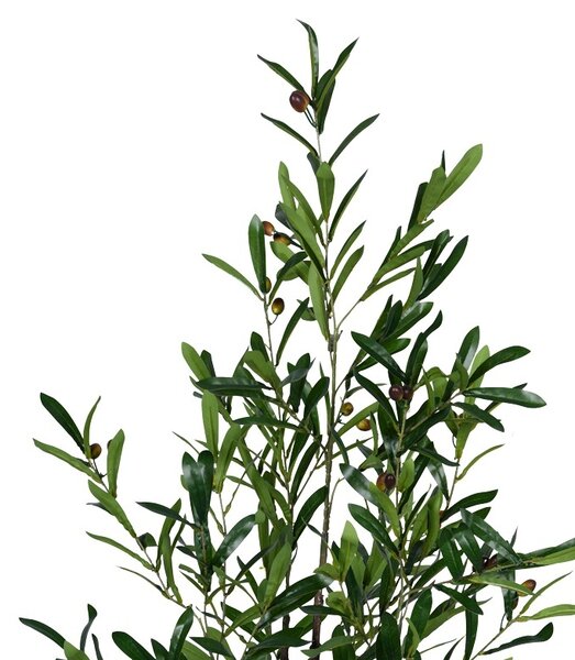 Διακοσμητικό φυτό Olive tree σε γλάστρα πράσινο πλαστικό PP H120 cm