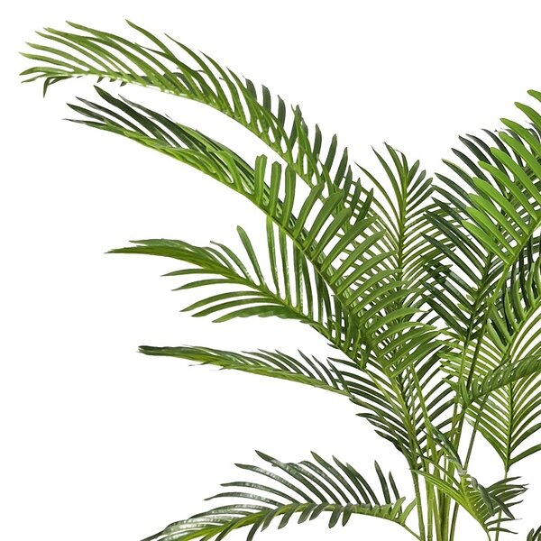 Διακοσμητικό φυτό Areca I σε γλάστρα πράσινο πλαστικό PP H120 cm