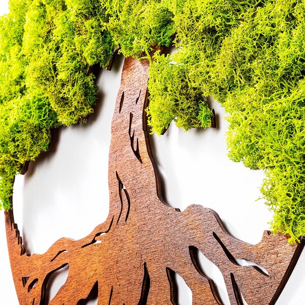Διακοσμητικό Τοίχου με Ζωντανή Λειχήνα Tree Of Life, Πράσινο, 44x1x44 cm