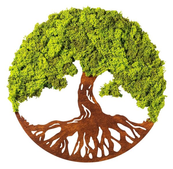 Διακοσμητικό Τοίχου με Ζωντανή Λειχήνα Tree Of Life, Πράσινο, 44x1x44 cm