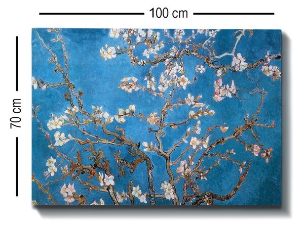 Πίνακας καμβά 277775 Πολύχρωμο 70x100 cm