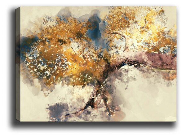 Πίνακας καμβά 488419336 Πολύχρωμο 70x100 cm
