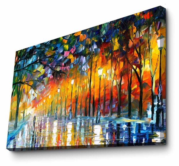 Πίνακας καμβά FAMOUSART-026 Πολύχρωμο 70x100x3 cm