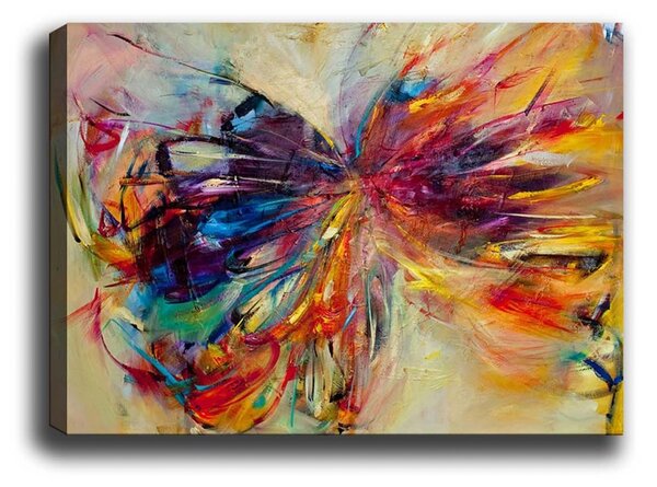 Πίνακας καμβά 733065 Πολύχρωμο 50x70 cm