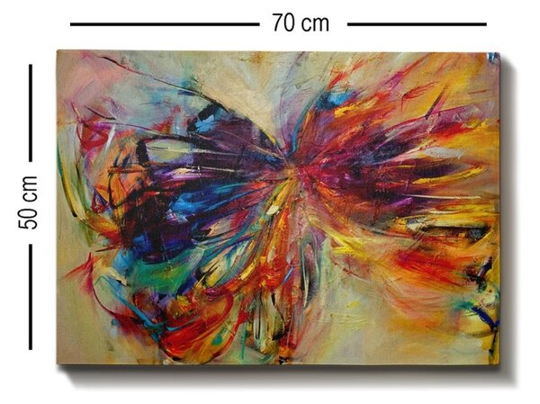 Πίνακας καμβά 733065 Πολύχρωμο 50x70 cm