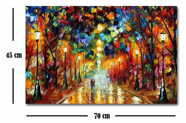 Πίνακας καμβά FAMOUSART-073 Πολύχρωμο 45x70 cm