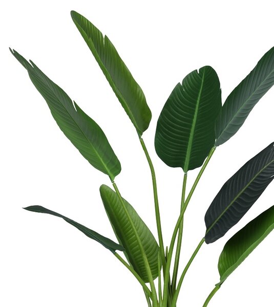 Διακοσμητικό φυτό Palm tree Pako World Μαύρο ύψος 120 cm