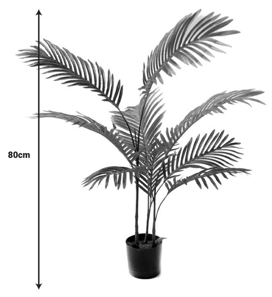 Διακοσμητικό φυτό κήπου Areca Pako World Μαύρο 80x80x80 cm
