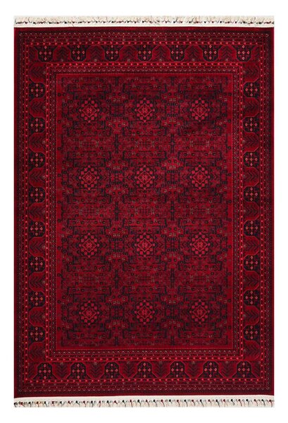 Χαλί (160x230) Pierre Cardin Vienna HY10 Bordo