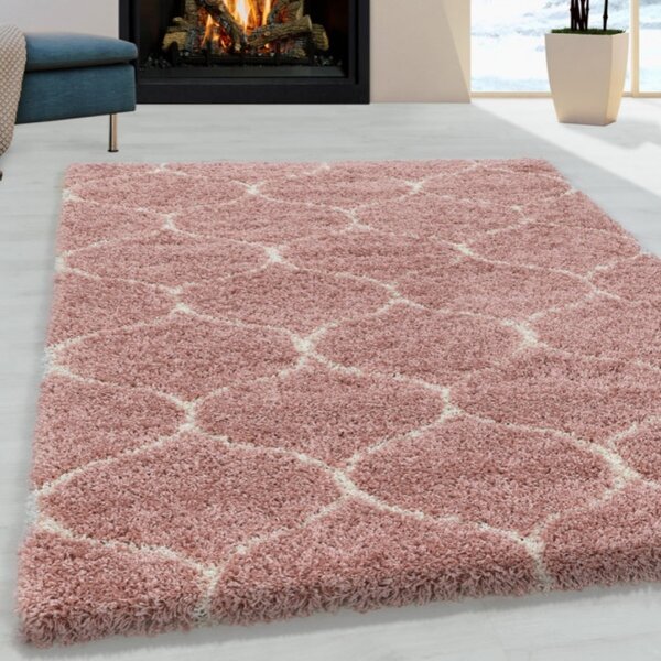 Χαλί Salsa Rose 280x370 cm