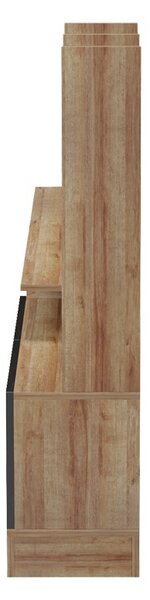 Έπιπλο TV Seruno Καφέ 170x25x100 cm