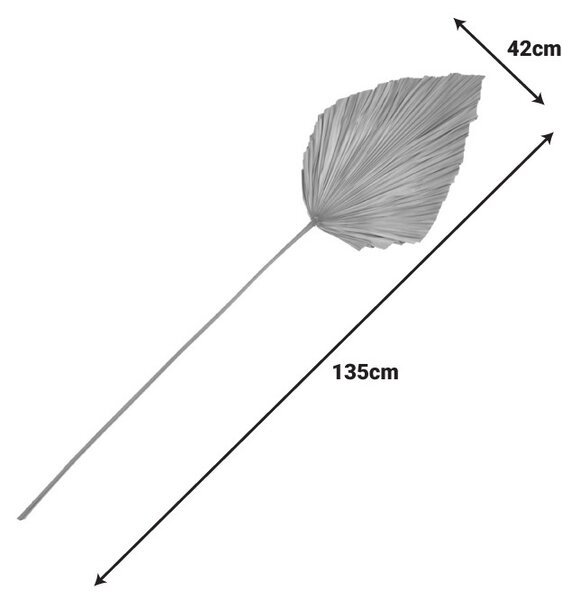 Διακοσμητικό φύλλο Walsy φυσικό H135 cm