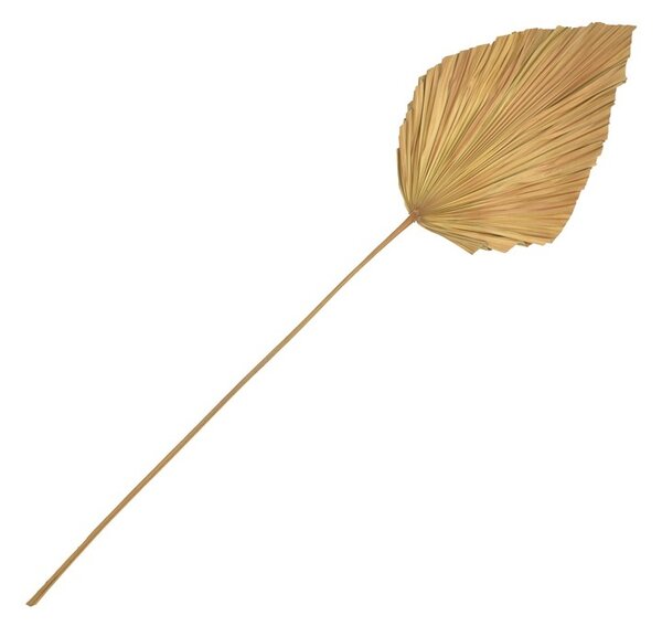 Διακοσμητικό φύλλο Walsy φυσικό H135 cm