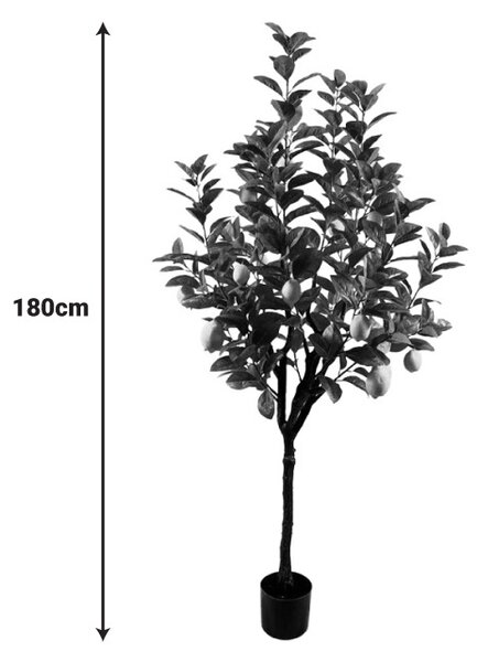 Διακοσμητικό φυτό Lemon tree Πράσινο 180x180x180 cm