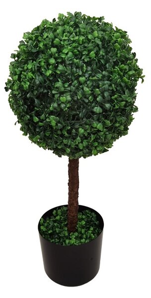 Διακοσμητικό φυτό Bolla I Πράσινο 30x30x65 cm